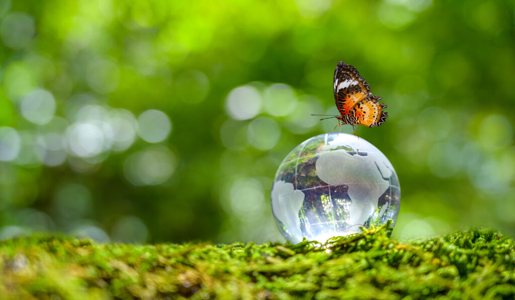 Eco-friendly pest control